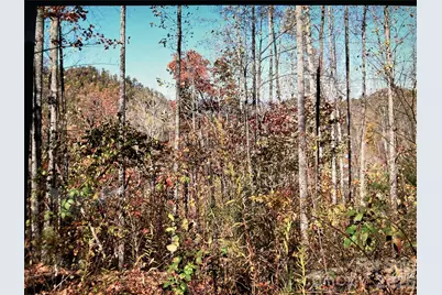 0 Prices Creek Road, Burnsville, NC 28714 - Photo 9