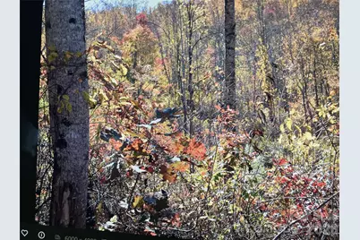 0 Prices Creek Road, Burnsville, NC 28714 - Photo 11
