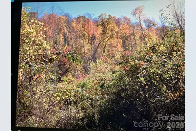 0 Prices Creek Road, Burnsville, NC 28714 - Photo 3