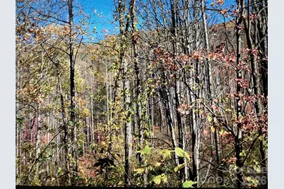 0 Prices Creek Road, Burnsville, NC 28714 - Photo 15