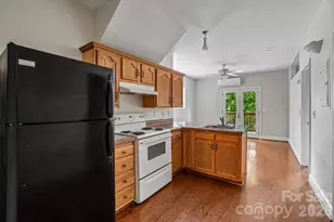 25 Houston St, Asheville, NC 28801 - Photo 39
