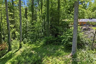 207 Wood Dale Dr, Hendersonville, NC 28791 - Photo 45