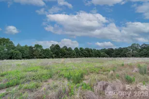 903 White Point Dr, Huntersville, NC 28078 - Photo 37