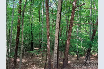0 McDaniel Court, Lake Lure, NC 28746 - Photo 5