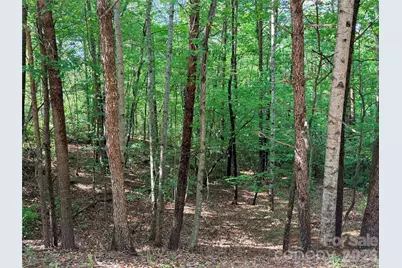 0 McDaniel Court, Lake Lure, NC 28746 - Photo 1