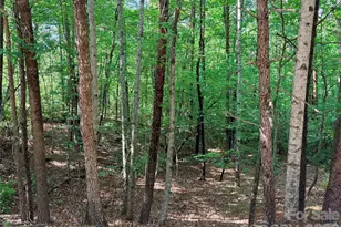 0 McDaniel Ct, Lake Lure, NC 28746 - Photo 1