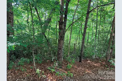 0 McDaniel Court, Lake Lure, NC 28746 - Photo 3