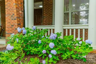 642 E 9th St, Charlotte, NC 28202 - Photo 37