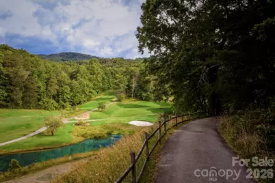 0000 Lakewood Drive, Lake Lure, NC 28746 - Photo 13