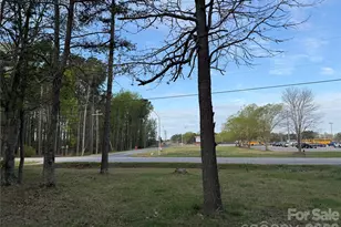 203 Anson High School Rd, Wadesboro, NC 28170 - Photo 5