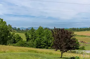 351 Mag Sluder Rd, Alexander, NC 28701 - Photo 39