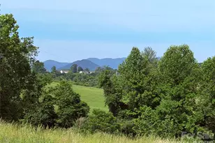 351 Mag Sluder Rd, Alexander, NC 28701 - Photo 31