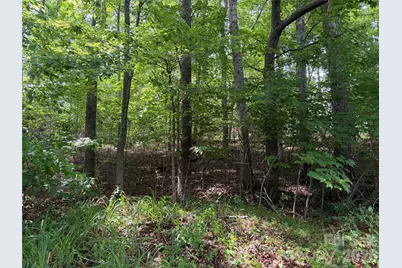 351 Mag Sluder Road, Alexander, NC 28701 - Photo 41