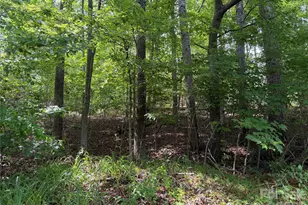 351 Mag Sluder Rd, Alexander, NC 28701 - Photo 41