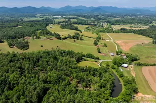 351 Mag Sluder Rd, Alexander, NC 28701 - Photo 47