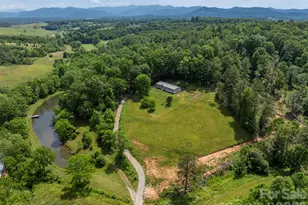 351 Mag Sluder Rd, Alexander, NC 28701 - Photo 43