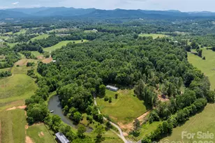 351 Mag Sluder Rd, Alexander, NC 28701 - Photo 45