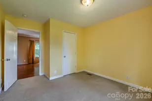 351 Mag Sluder Rd, Alexander, NC 28701 - Photo 23