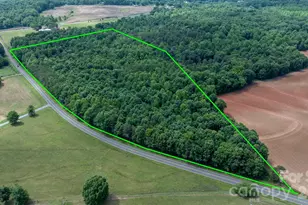 8103 Cooksville Rd, Vale, NC 28168 - Photo 1