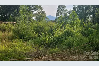 00 Misery Ridge Trail, Mill Spring, NC 28756 - Photo 45