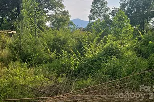 00 Misery Ridge Trail, Mill Spring, NC 28756 - Photo 45