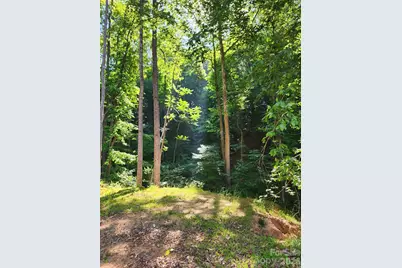Tbd Boone Gap Lane, Taylorsville, NC 28681 - Photo 1