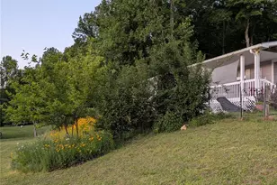 59 Ck Cabin Dr, Hot Springs, NC 28743 - Photo 29