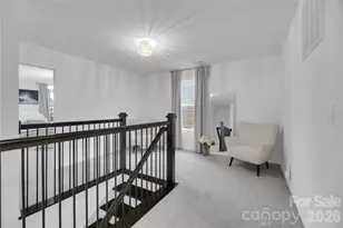 242 Lacewing Dr, Charlotte, NC 28214 - Photo 23
