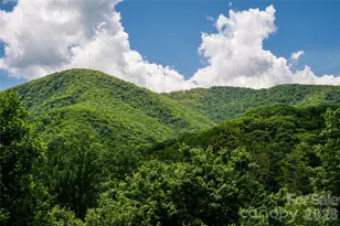 14 Marlin TRL, Waynesville, NC 28785 - Photo 23