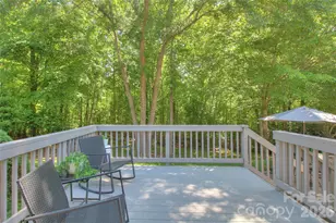 3009 Thayer Dr, Waxhaw, NC 28173 - Photo 33