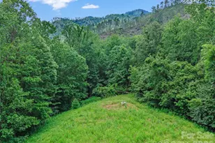 2216 Beans Creek Rd, Bakersville, NC 28705 - Photo 29