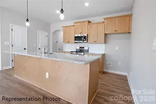 3118 Aberleaf Ln, Charlotte, NC 28227 - Photo 7