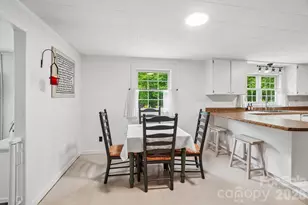 434 Dovers Br Rd, Burnsville, NC 28714 - Photo 11