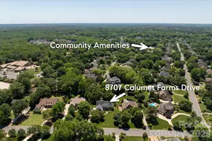 8707 Calumet Farms Dr, Waxhaw, NC 28173 - Photo 35
