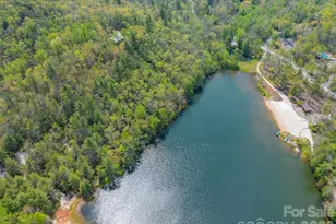1971 Swiss Pine Lake Dr, Spruce Pine, NC 28777 - Photo 21