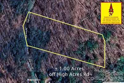 1971 Swiss Pine Lake Drive, Spruce Pine, NC 28777 - Photo 29