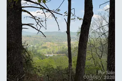 1971 Swiss Pine Lake Drive, Spruce Pine, NC 28777 - Photo 25