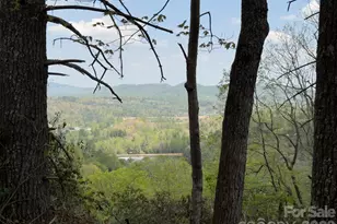1971 Swiss Pine Lake Dr, Spruce Pine, NC 28777 - Photo 25