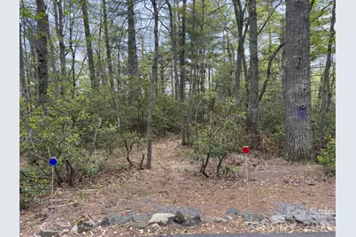 1971 Swiss Pine Lake Drive, Spruce Pine, NC 28777 - Photo 23