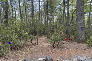 1971 Swiss Pine Lake Dr, Spruce Pine, NC 28777 - Photo 23
