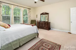 541 Welsh Partridge Cir, Candler, NC 28715 - Photo 17