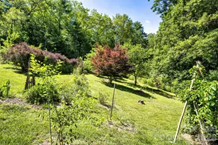 435 McMinn Rd, Hendersonville, NC 28792 - Photo 37