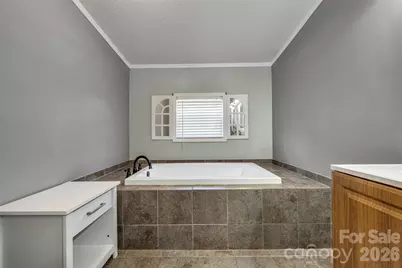 435 McMinn Road, Hendersonville, NC 28792 - Photo 19