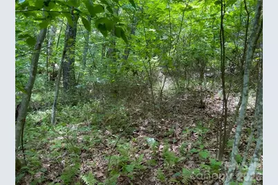 L-36 Saint Moritz Lane #Lot 36, Spruce Pine, NC 28749 - Photo 11