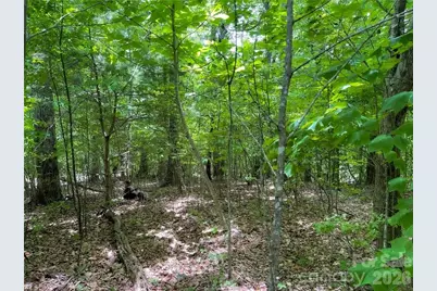 L-36 Saint Moritz Lane #Lot 36, Spruce Pine, NC 28749 - Photo 3