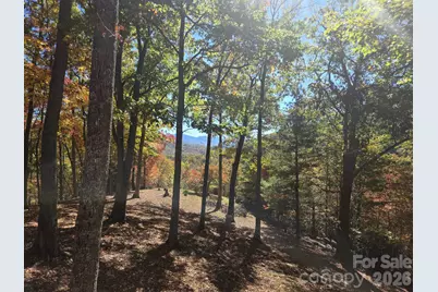 820 Wild Rose Lane, Burnsville, NC 28714 - Photo 39