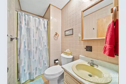 820 Wild Rose Lane, Burnsville, NC 28714 - Photo 19