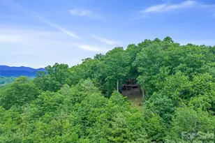 820 Wild Rose Ln, Burnsville, NC 28714 - Photo 39