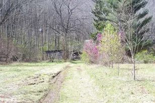 58 Collier Ln, Waynesville, NC 28786 - Photo 1