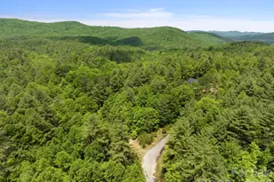 Lot #28 Awi Trail, Hendersonville, NC 28739 - Photo 9